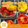 Frutas Frescas do Norte, Pimentões Coloridos para Comer Crus, Pimentões Sete Cores, Pimentões Doce Lanterna, Legumes de Shouguang, Pimentões Verdes Milhete, Pimentões Redondos, Legumes