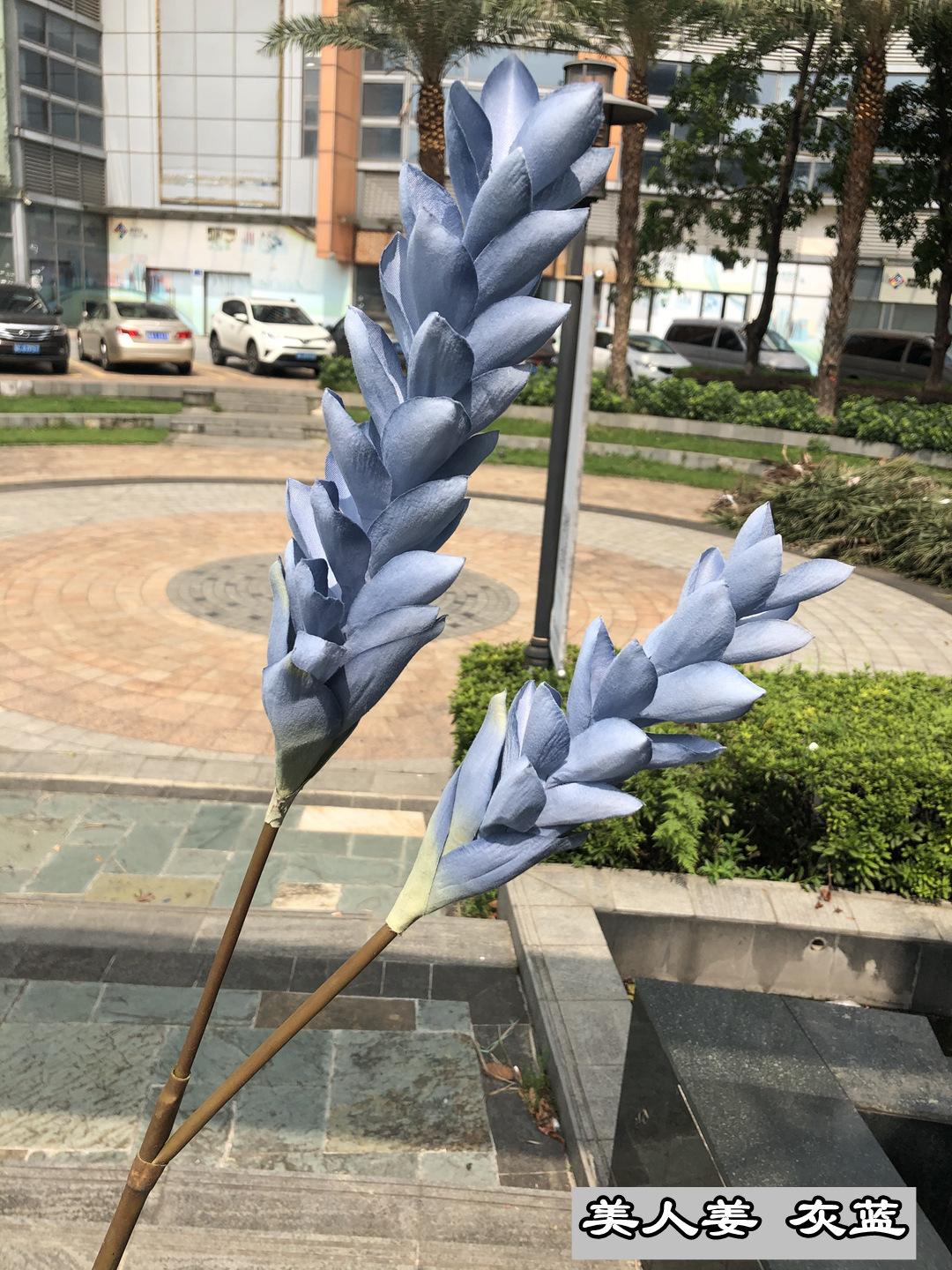 微信图片_20200823114342.jpg
