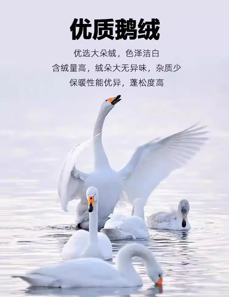 O1CN01LTzhM71usBkBvECFK_!!2214