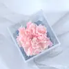 Flor Eterna Acrílico Rosa Cravo Caixa de Flores Dia dos Namorados Natal Dia das Mães Presente de Dia dos Namorados