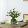 Gardenia Hidropónica Bola de Musgo en Maceta Rosa Miniatura Plantas de Oficina Bambú de la Suerte Árbol del Dinero de Escritorio Interior