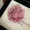 Sal Retro Súper Hada Tela Borde Quemado Malla Rosa Seco Broche Pasador Coleta Lateral Femenina Clip