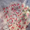 Adesivos de Unha Cross-Border Jelly Changan Lichia Cor Masculina Suave Transparente Gelo Estilo Fada Material de Fruta