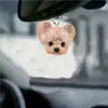 Nuevo colgante transfronterizo de acrílico con forma de lazo plano para decoración de coche de cachorro