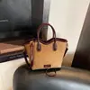 Bolsa Pequena de Mão Simples Transfronteiriça Feminina de Nicho Bolsa Saco Transversal Moda Outono 2025 Versátil Bolsa para o Dia a Dia