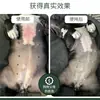 Loción antipicazón para piel de mascota transfronteriza, spray limpiador externo, spray protector para piel de mascota