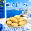 Papas pequeñas Huangpi de Enshi, Hubei. Entrega disponible 3/5/ 4.5 kg días. Patatas medianas-grandes rosadas y cerosas, verduras frescas de temporada