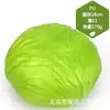 Venta al por mayor directa de fábrica de todo tipo de verduras de tacto de alta simulación PU verduras falsas PU simulación pepino col