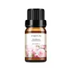 20ml Líquido de Recarga de Aceite Esencial para Aromaterapia de Coche Inteligente Adornos de Aromaterapia para Coche Aceite Esencial Fabricante de Perfumes de Alta Gama Genuino