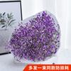 Yunnan Kunming Dounan Céu Estrelado flores secas naturais pesando Jin vendendo buquê grande de sala de estar fresca para decoração de casa frete grátis