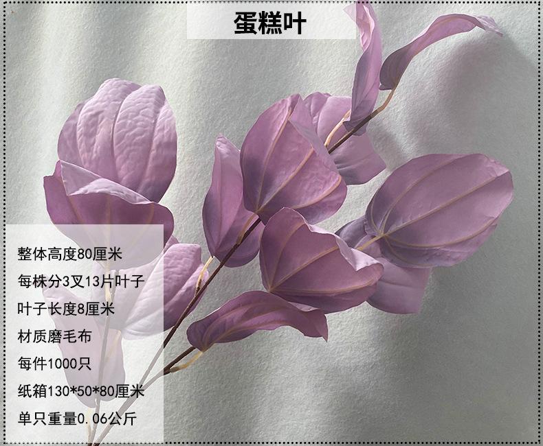 产品信息图-1.jpg