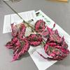 Folhas de pássaro louco Folhas de taro Alocum Cerimônias de casamento Auditório de casamento Decoração floral suave Simulação Planta verde Folhas de vitrine de shopping