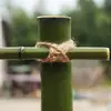 Pau de Bambu de Casamento Suporte de Bambu Suporte de Bambu de Boas-Vindas Cortina de Gaze Suporte de Bambu Belo Display Suporte de Boas-Vindas Suporte de Tubo de Bambu Amarelo de Construção Fundo