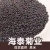 Arroz negro al por mayor 500 gramos de arroz negro fragante del noreste arroz negro marrón cereales papilla de arroz morado fábrica de leche de soja al por mayor