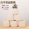 Vasos de Flores de Cerâmica Branca Liso para Embriões, Flores de Bonsai, 10 Pacotes, Vasos de Cerâmica Respiráveis para Suculentas, Vasos de Cerâmica Grossa para Plantas Verdes para Plantio de Plantas Lede