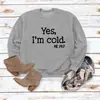 Amazon Cross-Border Outono e Inverno Tops Femininos Comércio Exterior Outono e Inverno Sim Estou com Frio Estampado Casual Solto Moletom