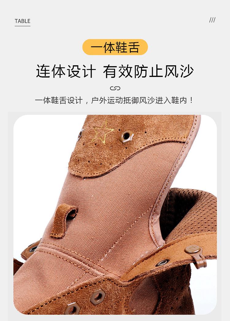 21作战详情_09.jpg