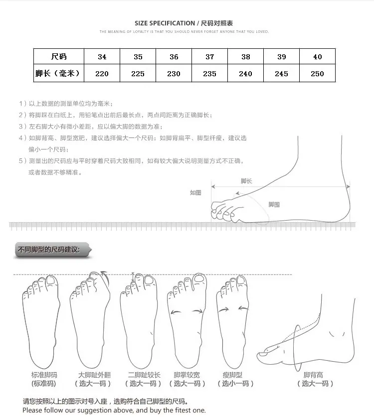 尺寸图