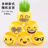 Expressão Facial Sorridente Boneca de Grama em Vaso DIY Artesanato Decoração de Micro paisagem Planta Verdeza Micro paisagem