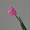 Tmall Al por Mayor Hidratante Tulipán Decoración del Hogar Adornos para Sala de Estar Flores Artificiales Fotografía de Boda Flores Falsas de Mano