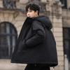 Jaqueta de Penugem de Pato Branco 90% Masculina Inverno Quente à Prova de Vento para Exterior Jaqueta Grossa de Penugem de Pato Branco Masculina Penugem Masculina