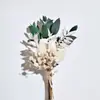 Flores Secas, Flores Preservadas, Mini Ramos, Regalos Navideños, Más Vendidos Transfronterizos, Hecho a Mano, Venta al por Mayor y Dropshipping del Fabricante de Yunnan