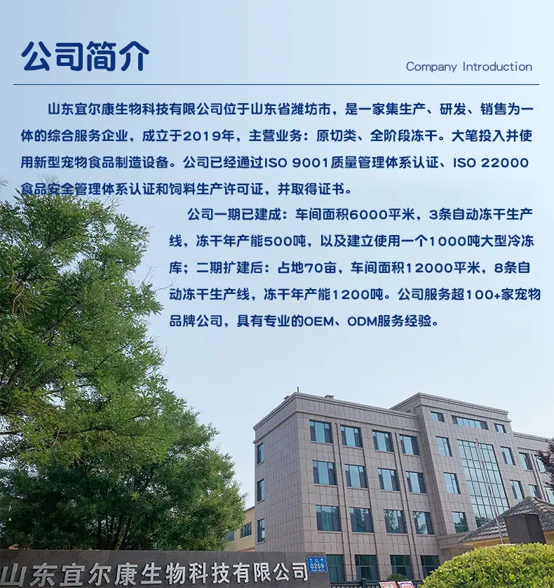 详情-公司简介.jpg