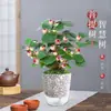 Árbol en maceta con múltiples frutos, adecuado para escritorio de oficina, planta verde estilo Zen, bonsái y una planta que da frutos y tiene follaje atractivo durante todo el año