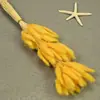 Flores Secas, Cola de Conejo, 60 Piezas/Manojo, Ramo de Lujo Ligero, Adornos de Flores Reales, Pequeño Ramo de Flores Eternas Regalo, Materiales de Flores Reales