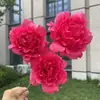 Flor artificial de peonía de tela no tejida de 3 cabezas, flor falsa para boda y decoración del hogar, venta al por mayor
