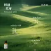 Líquido de Relleno de Aceite Esencial de Plantas de Aromaterapia de 15 ml para Difusor de Piedra de Yeso, Adornos Aromáticos, Especializado para Uso en Interiores, Fragancia de Alta Gama y Larga Duración