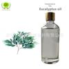 Óleo Essencial Único Óleo de Eucalipto Eucaliptol Óleo da Árvore de Eucalipto Óleo de Eucalipto Fragrância Diária Matérias-Primas