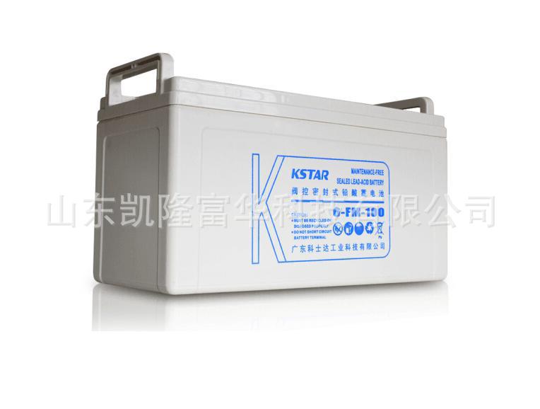 科士达6-FM-100AH2