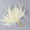 Folhas de Samambaia Flor Preservada, Folhas Naturais de Samambaia Flor Real, Materiais de Flores Secas DIY para Porta-Retratos, Decoração de Vitrine com Flores Prensadas