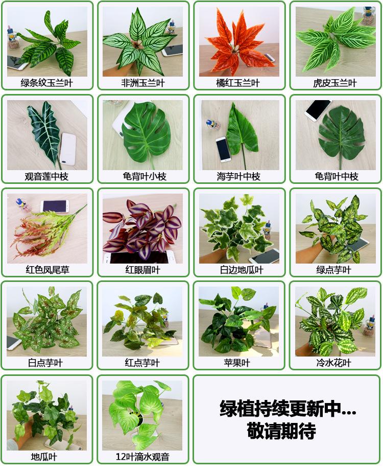 详情_16