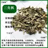 Material medicinal chinês Bordo Triângulo mercadoria nova genuína Bordo Triângulo secado ao sol Bordo Triângulo Feng Escalada Tigre multi-especificação Feng de três cascas folhas grandes