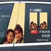 Pegatina para Coche Viaje al Oeste Dahua Zhizunbao Zixia Pegatina Pilar Central Película Protectora Pilar B Ventana Modificación Creativa Personalizada Pintura de Color