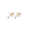 Aretes Transfronterizos de Acero Inoxidable con Diamantes, Circonia de 2 mm con Engaste de Cuatro Garras, Estilo Clásico, Unisex, Pequeños, Adecuados para Hombres y Mujeres, Geométricos