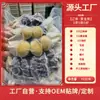 Olla Grande con Diez Tipos de Hierbas y Diez Tipos de Mariscos, Plato de Hot Pot Listo para Comer, Catering para Hoteles Banquetes al por Mayor
