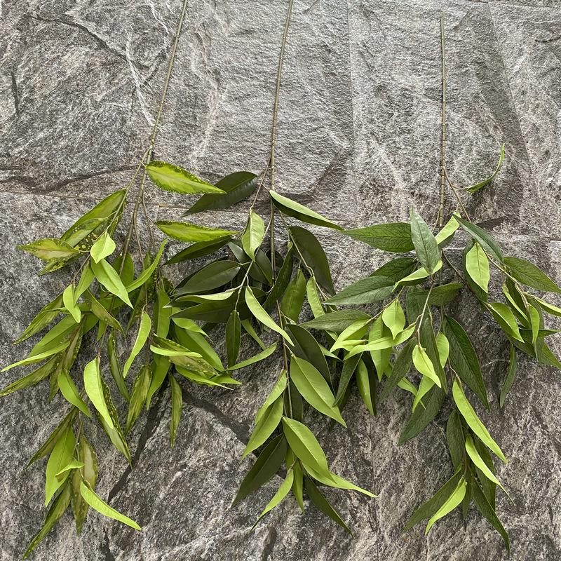 主图2  百合竹全部颜色.JPG