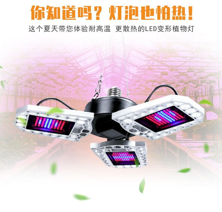全光谱-植物灯-(阿里巴巴)(红蓝光)详情页_02.jpg