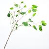 Hojas artificiales, hojas verdes, hojas de eucalipto, ramas, plantas verdes, pared de fondo de modelado, decoración suave para el hogar, arreglos florales y materiales florales.