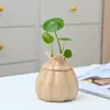 Lindo Bote para Té de Ajo, Maceta Hidropónica Doméstica, Cenicero con Tapa Creativa, Cenicero de Cerámica con una Textura Única