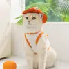Roupas para Gatos Primavera e Verão Coleira Peitoral Divertida de Frutas Cães Pequenos e Médios Teddy Bichon Roupas para Cachorros Vestuário para Pets