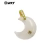 Wt-P2112 Colgante de Luna de Piedra Preciosa Colorida Exquisito Más Vendido Ópalo Cristal de Cuarzo Circonita Accesorios de Gancho