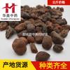 1000 Gramas de Fritillaria (Tubebum) - Linda Erva Medicinal Chinesa Disponível para Fornecimento Atacadista. Novo Estoque de Fritillaria em Grandes Quantidades, Preços Favoráveis