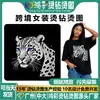 Roupas de Moda Transfronteiriças com Pedrarias Transferíveis por Calor, Padrões de Design Feitos à Mão, Fabricante Atacado de Pequena Quantidade Camisetas Pedrarias Acessórios DIY Padrões de Transferência por Calor