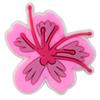 Creativo Nuevo Dibujo Animado Zapatos de Flor de Cerezo Zapatos de Flores Hebilla Zapatos con Agujeros Accesorios DIY Personalizado Transfronterizo Accesorios para Zapatos de Flores