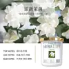 Folha de Bordo Dourada Fragrância Casa Quarto Remover Odores Pasta Aromática Purificador de Ar Interior Celebridade da Internet Decorações de Aromaterapia