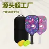 Raqueta de Pickleball para Niños Set de Fibra de Vidrio Set Completo de Pickleball Venta Caliente Transfronteriza